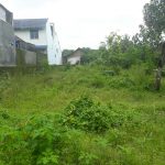 TANAH DI SARIHARJO, PALAGAN