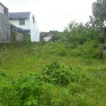 TANAH DI SARIHARJO, PALAGAN