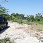 CLUSTER ASIATICA WIROKERTEN