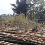 PERUMAHAN PESONA MENOREH