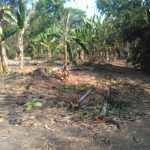 PERUMAHAN PESONA MENOREH