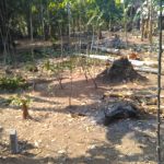 PERUMAHAN PESONA MENOREH