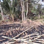 PERUMAHAN PESONA MENOREH