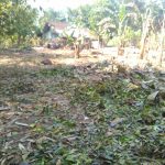 PERUMAHAN PESONA MENOREH