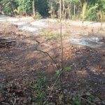 KAVLING SENTOSA PERMAI PAJANGAN