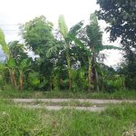 CLUSTER KEBONDALEM RESIDENCE