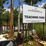 ROYAL PRATAMA PLAYEN