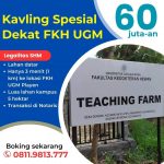 ROYAL PRATAMA PLAYEN