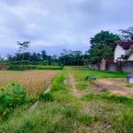 SONDARAKARTA VILLAGE