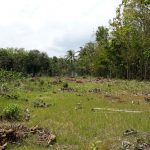 MUTIARA RESIDENCE 2 SEDAYU