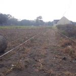 KAVLING DAYAKAN PURWOMARTANI