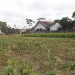 KAVLING DAYAKAN PURWOMARTANI