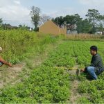 KAVLING DAYAKAN PURWOMARTANI