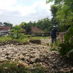 KLASTER PISANGAN INDAH TRIDADI