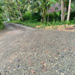 ROYAL JAMUS PENGASIH 2