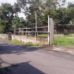 KLASTER PISANGAN INDAH TRIDADI