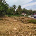 ROYAL JAMUS PENGASIH 2