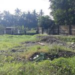 KLASTER PISANGAN INDAH TRIDADI