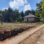ROYAL PRATAMA SEMANU 2