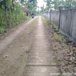 ROYAL PRATAMA SEMANU 2