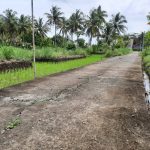 ROYAL HARMONI TAWANGSARI 2