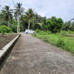 ROYAL HARMONI TAWANGSARI 2