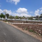 ROYAL PESONA MIJAHAN