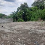 MINI KLASTER SEDAN (MONJALI)