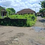 TANAH PURWO
