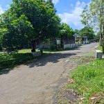 TANAH PURWO