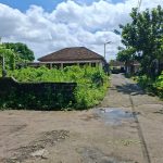 TANAH PURWO