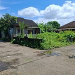 TANAH PURWO