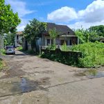 TANAH PURWO