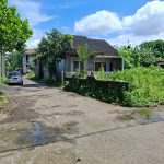 TANAH PURWO