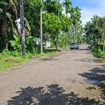 TANAH PURWO