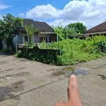 TANAH PURWO